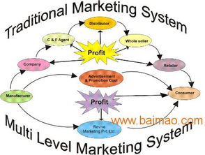 直銷系統(tǒng)軟件開發(fā)與推廣網(wǎng)站搭建全攻略