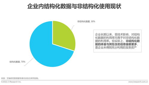2022年中國(guó)人工智能數(shù)據(jù)治理行業(yè)研究報(bào)告 數(shù)據(jù)處理與存儲(chǔ)服務(wù)篇